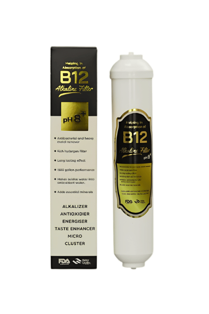 B12 Mineral Filtre