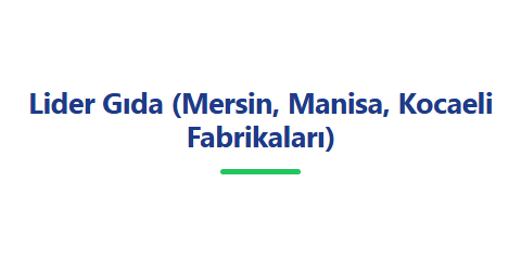 Lider Gıda